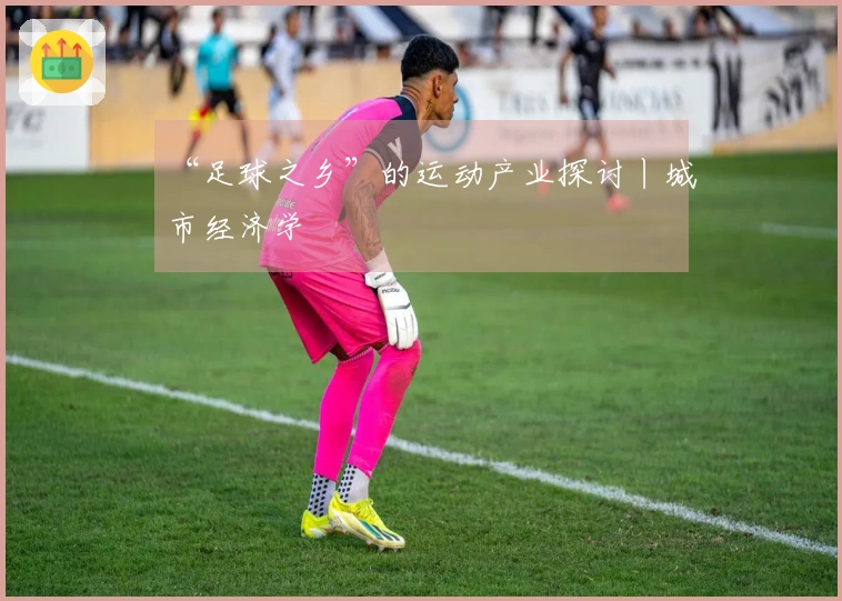 “足球之乡”的运动产业探讨丨城市经济学